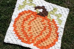 Pumpkin Blanket Square