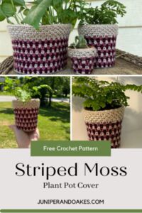 Striped Moss Plant Pot Cover