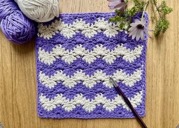 Interlocking Shells Washcloth